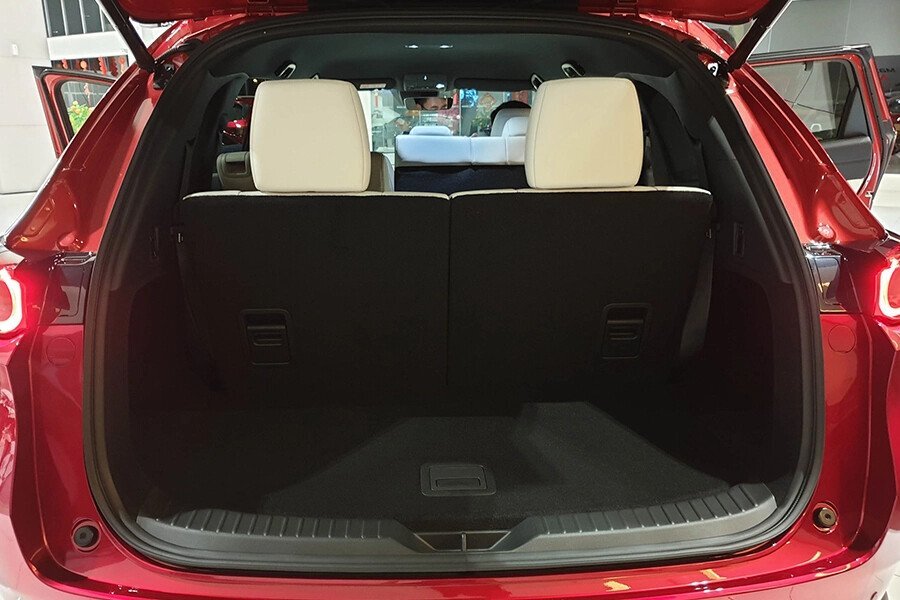 Mazda CX-8 2.5 AWD Premium - Hình 19